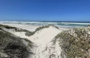 Iithe sandveld trail as shown in this picture is one of the hiking trails in langebaan, with along the beach over dunes.