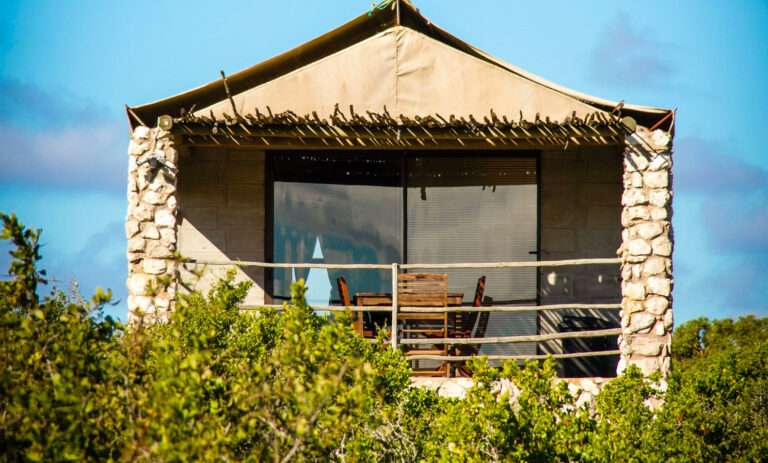 Love weskus ilove weskus ifront view of the glamping tents at thali-thali game lodge among the bushes showing entrance and front patio