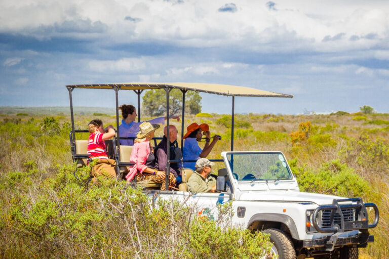 Love weskus ilove weskus ithali thali game drive near langebaan
