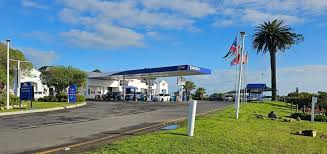 Gas station with blue canopies and American flags along a sunny highway, palm trees in the background.